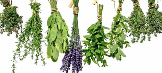 Herbs to increase potency in men